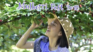 preview picture of video 'Mulberry Fest 2018 ไร่กำนันจุล'
