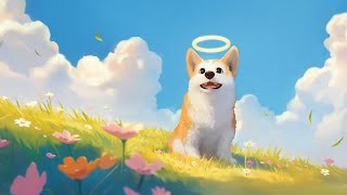 マイリトルパピー　実況
