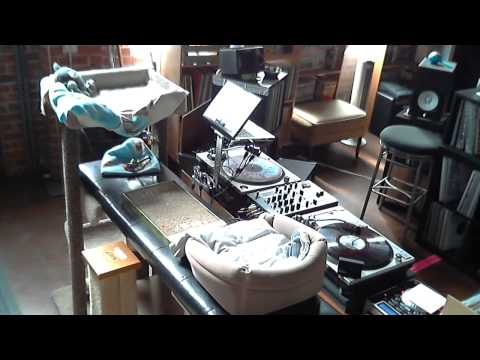 Wax n' Cats #33 w/ DJ Q Bot