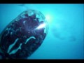 Glassbåt Das Boot Parodi