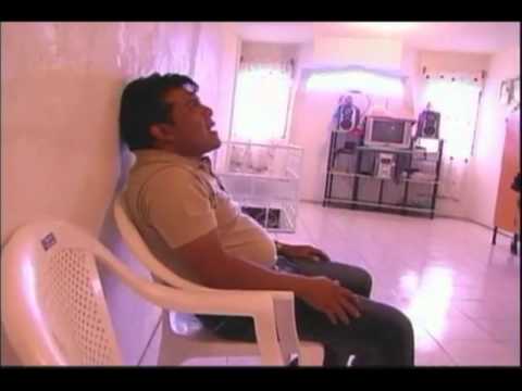 Julio Elias-Alas De Paloma