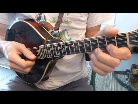 Flop Eared Mule (With Tabs) - Mandolin Lesson
