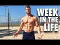 Week in the Life of the Buff Dudes