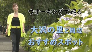 ウオーキングで巡る大沢の里と周辺おすすめスポット