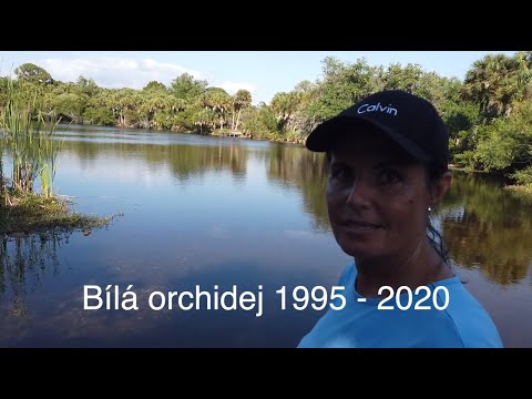 Bíla orchidej 1995 - 2020 Eva a Vašek