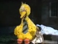 Sesame Street You Re Gonna Be A Star