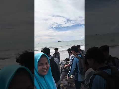 Kegiatan Bersih-Bersih Pantai | Hima Sains Data Universitas PGRI Sumatera Barat 2024