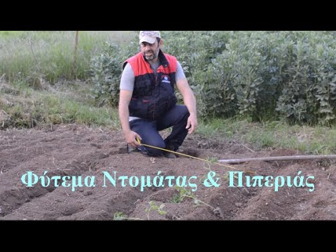 , title : 'Πώς Να Φυτέψουμε Ντομάτες & Πιπεριές. How To Plant Tomatoes & Peppers'