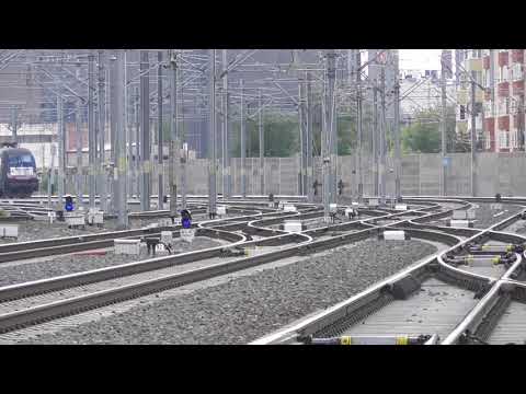 IR 74-1 Brașov - Budapesta with EA 231