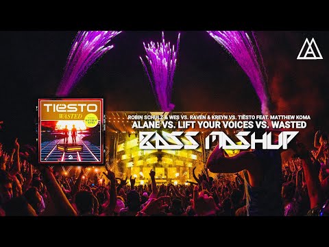 Robin Schulz vs. Tiësto - Alane vs. Lift Your Voices vs. Wasted (BassControllerz X Dominik Mashup)