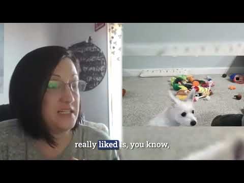 Homeschool by LAY LO: Dog training with world-class experts video.