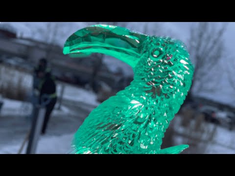 Toucan Ice Sculpture Time Lapse