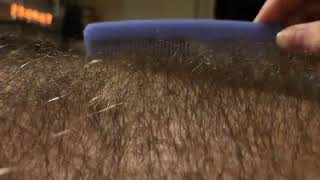 Download lagu Combing a hairy chest mp3