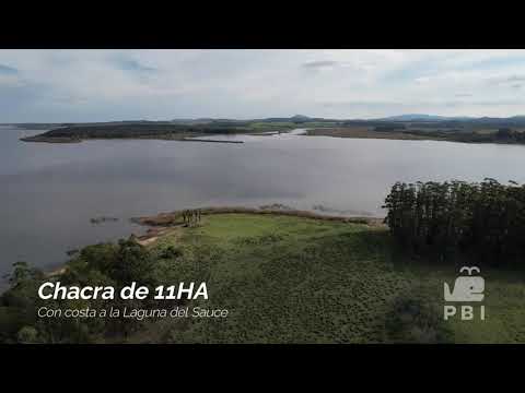 Chacra de 11HA en la Laguna del Sauce, Punta Ballena