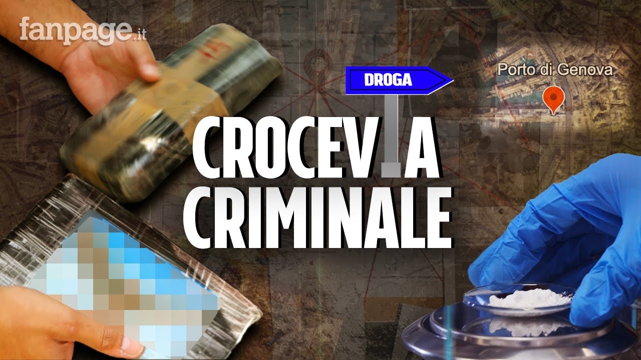 A caccia di droga nel porto di Genova: così 'Ndrangheta e mafia albanese nascondono la cocaina