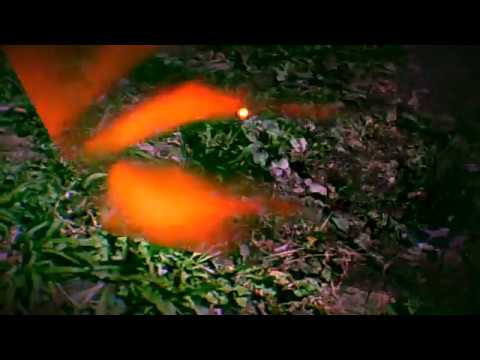 Needed You - 799 ( Hvng Time )