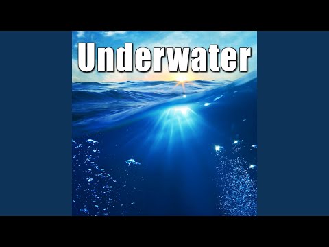 Drop Medium Rock into Water from Underwater Perspective