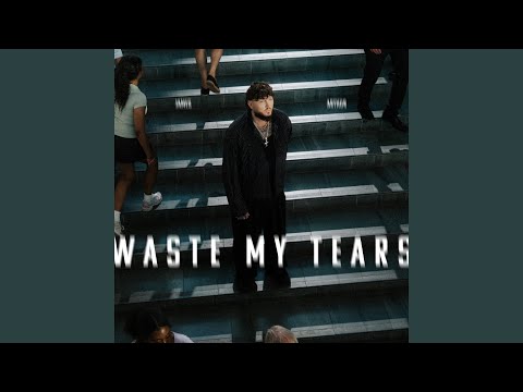 Miniatura de Waste My Tears