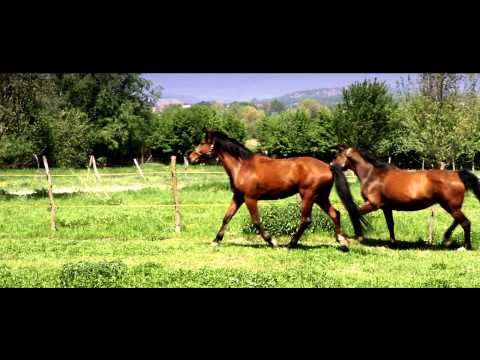 Grupa Banane&Jimmy Matesic_spot Jablan ,www.snimanje.hr