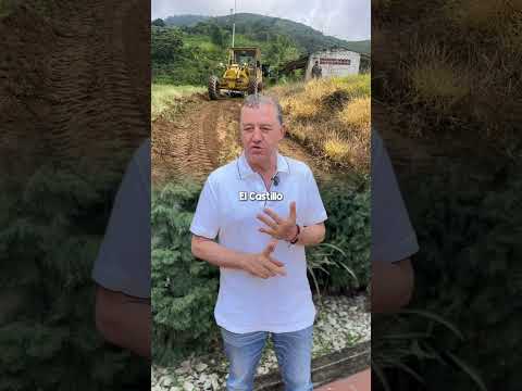 Ansermanuevo Avanza: ¡Ya Alcanzamos el 95% de Nuestras Vías Terciarias Recuperadas!