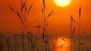 Download lagu Mohammed Al Barrak Juz Amma mp3