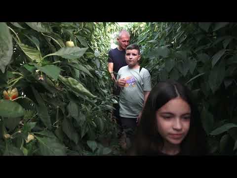 Agro karavan ep.252 - Vlasotince - 06.11.2022