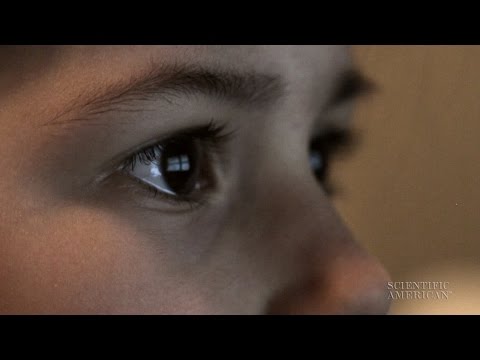 Tracing a Gaze to Understand Language Delays | Scientific American