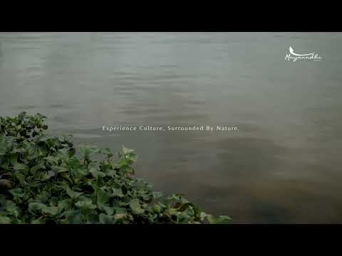 Venue video