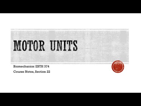 Motor Units