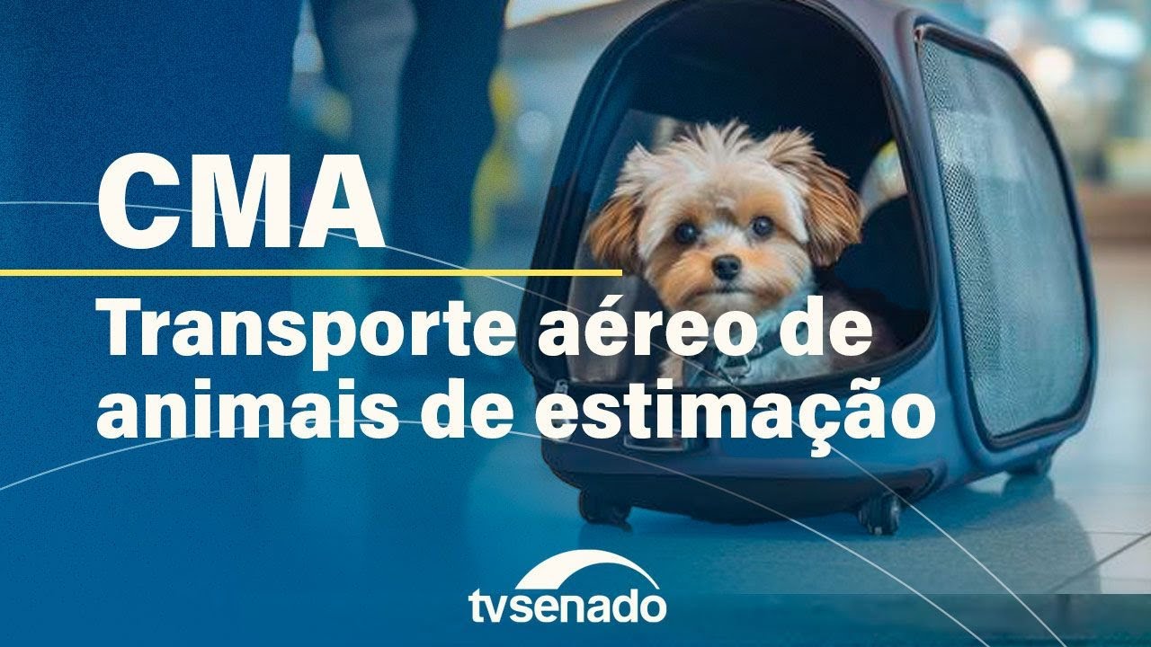 Comissão de Meio Ambiente debate regras para o transporte de animais de estimação – 5/9/24