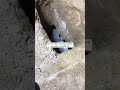 a message for you | grave video | grave punishment