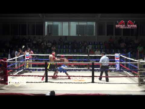 Darwin Martinez VS Willmer Paz - Bufalo Boxing Promotions