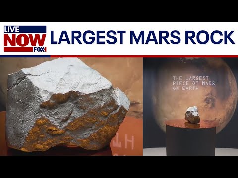 Video | Largest piece of Mars on Earth fetches $5M+ at auction | LiveNOW from FOX