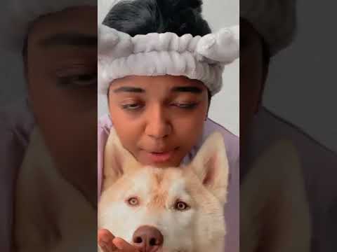 amala shaji with pet 🙈
