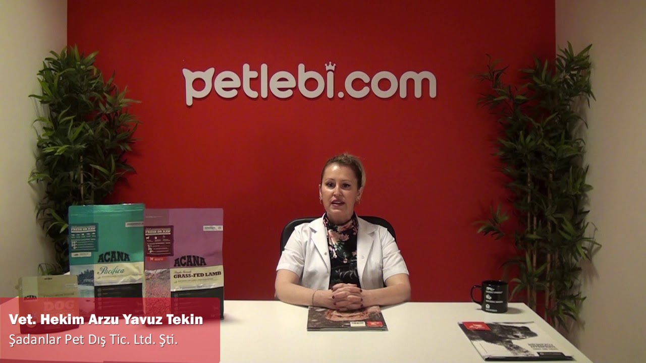 Acana Grass-Fed Lamb Kuzulu Tahılsız Köpek Maması 2kg tanıtım video görseli