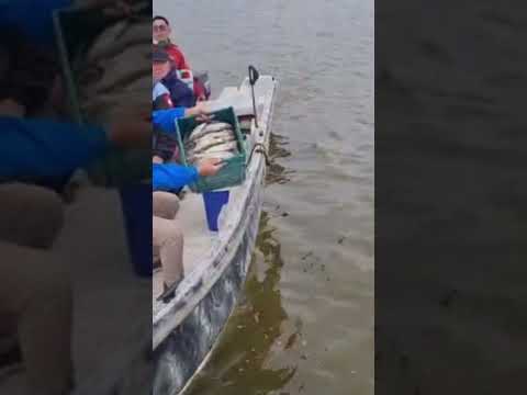 Linda pesca en Viamonte Cordoba guia @bagginiadrian tel +54 9 3537 60-8707.
