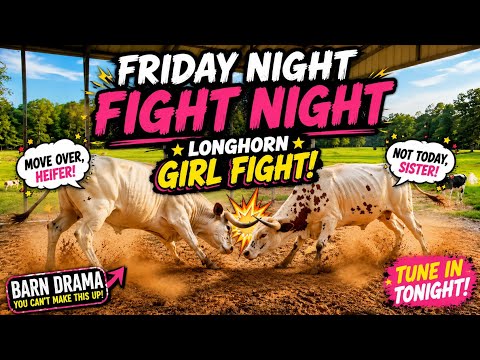 Longhorn and Horses on a Friday Night