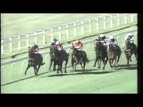 1991 Robins Cup - St Jude