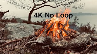 2 Hour Real Campfire In 4K. No Loop. Filmed On First Day of Spring 2025. Real Fi