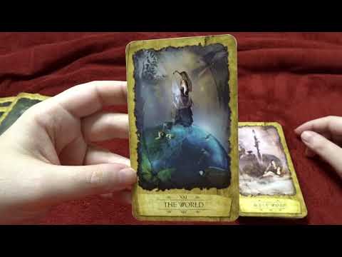 download lagu mp3 mp4 The Dreamer Tarot Card, download lagu The Dreamer Tarot Card gratis, unduh video klip The Dreamer Tarot Card