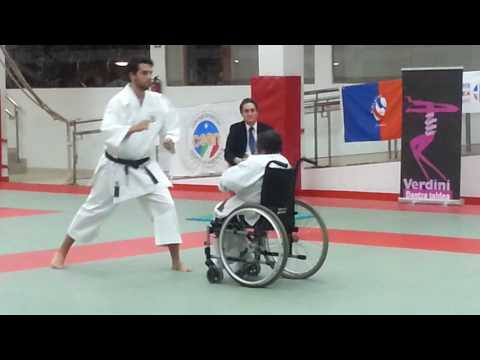 Disability Karate Federation