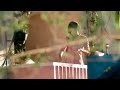 Raja Raja Cholan Naan Vijay Sethupathi Whatsapp Status