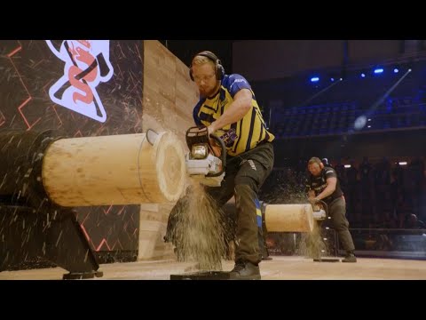 A MILANO i campionati mondiali dei taglialegna: lo show dei colossi tra asce e motoseghe
