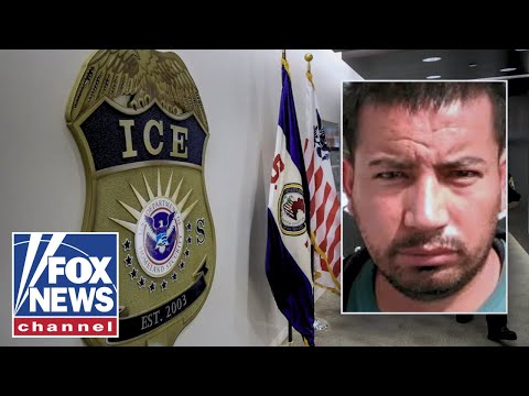 MANHUNT CONTINUES for driver who allegedly tried to run over ICE agents