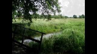 'Hier kom ik weg'  Daniël Lohues