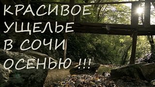 preview picture of video 'Красивое ущелье осенью!!! Сочи Природа Сочи  (Nature Sochi Mamedovo Gorge)'