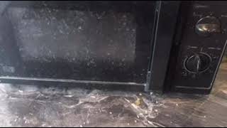 Album cover: Deep Clean Service