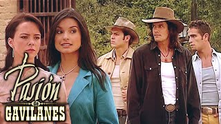 Pasion de Gavilanes - Los Reyes conocen a las Elizondo