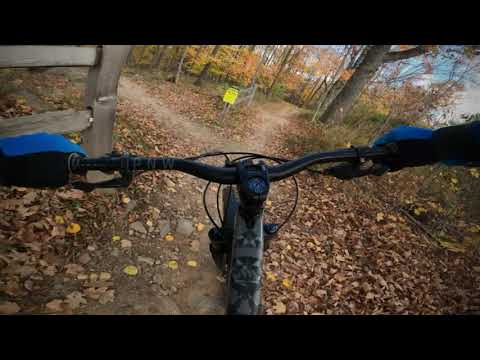 Sylvan Hill Bike Park 2021 (Trail Revamp) - Bad Rabbit, Twisted Oak, and Fish Hook | Trek Fuel Ex 5