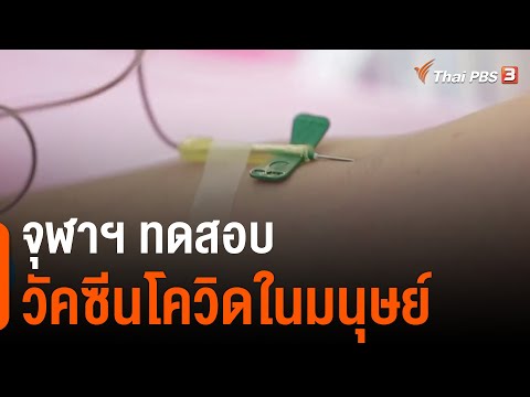 คลิกเพื่อดูคลิปวิดีโอ